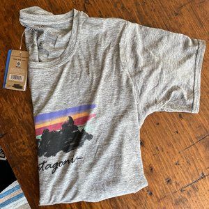 Patagonia Capilene Cool Daily Graphic T Shirt